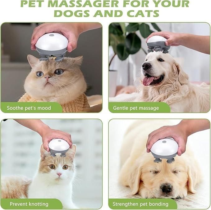 Electric Pet, Cat Massager - The Indian Home Vaultxggxt1 - 1s